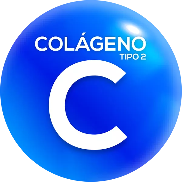Colágeno tipo II