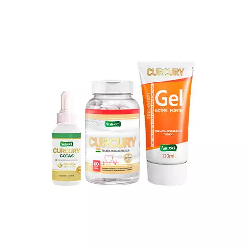 Curcury kit 1